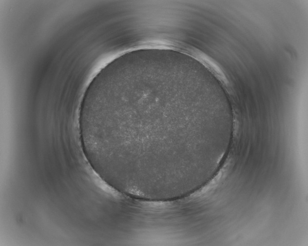 X0000111021192200907171849