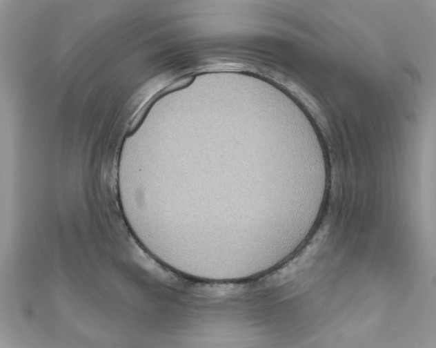 X0000111021193200907171849