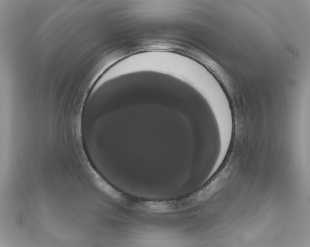 X0000111021194200907171849