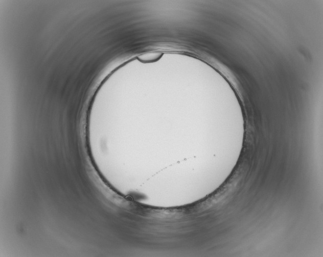 X0000111021195200907171848