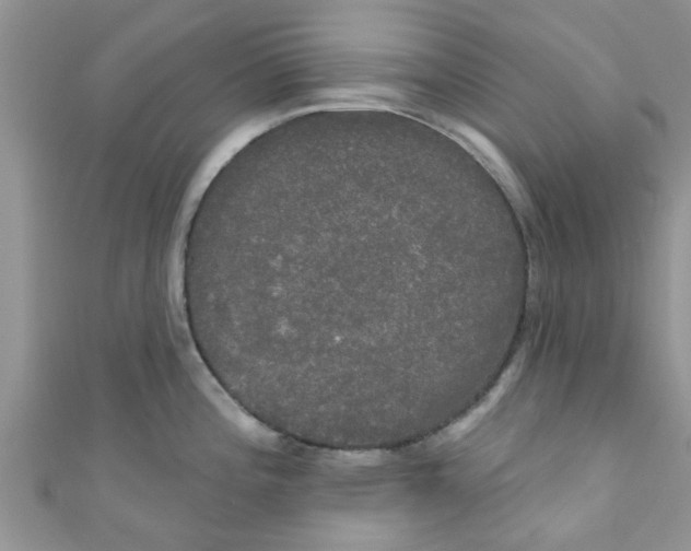 X0000111021196200907171848