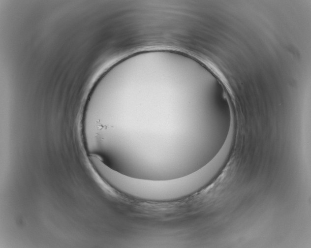 X0000111021197200907171848