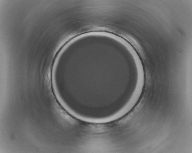 X0000111021198200907171848