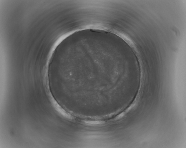 X0000111021200200907171848