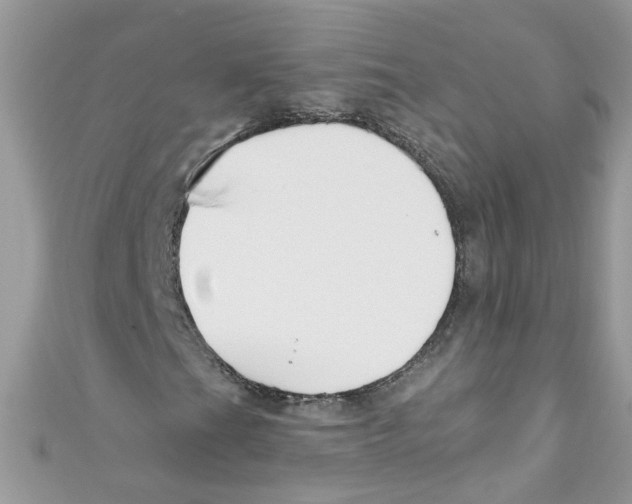 X0000111021201200907171848