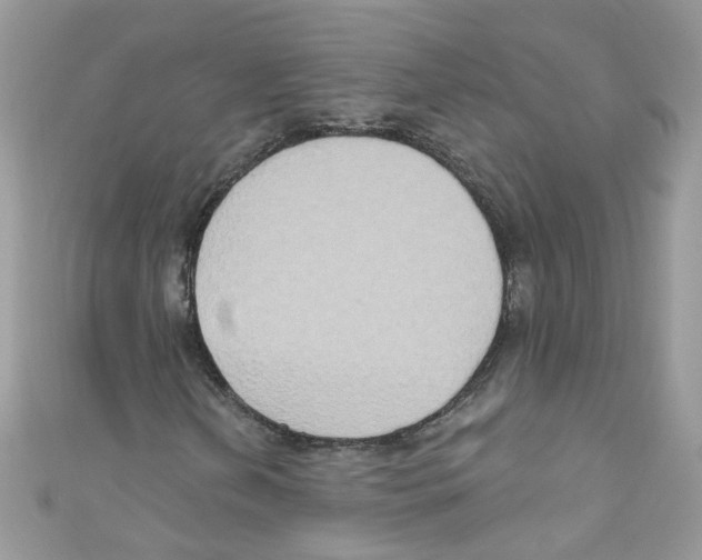 X0000111021202200907171848