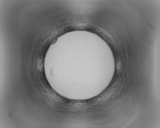 X0000111021204200907171848