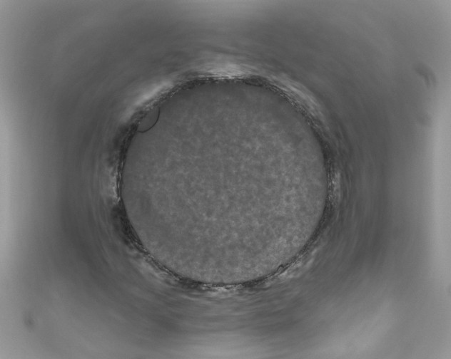 X0000111021205200907171848