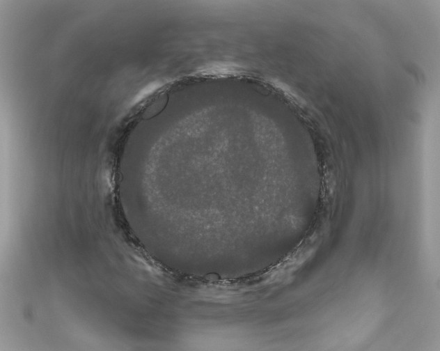 X0000111021206200907171848
