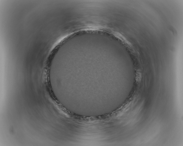 X0000111021208200907171848
