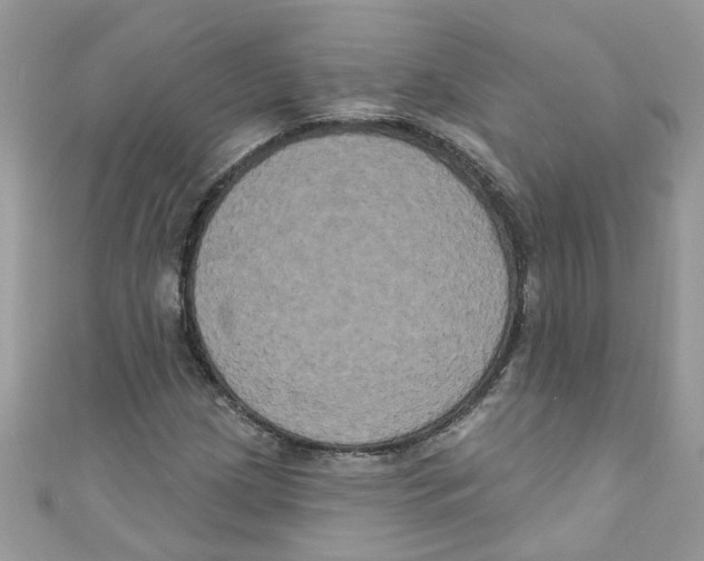 X0000111021209200907171848