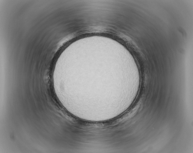 X0000111021210200907171848