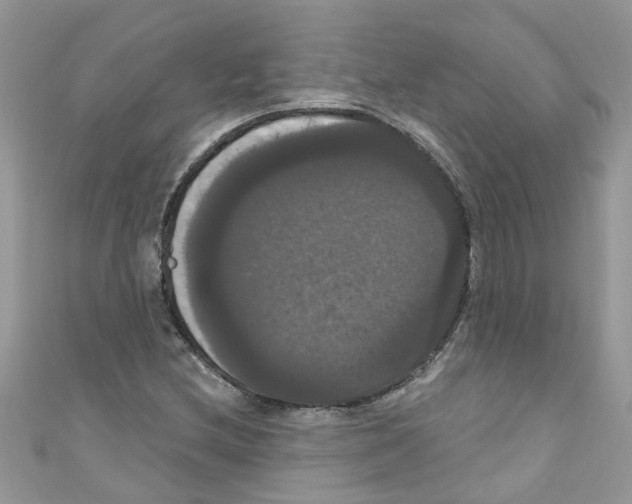 X0000111021212200907171848