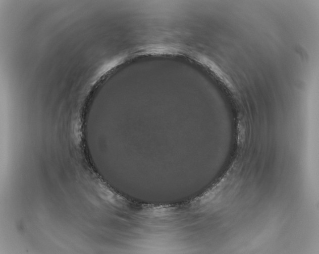 X0000111021213200907171848