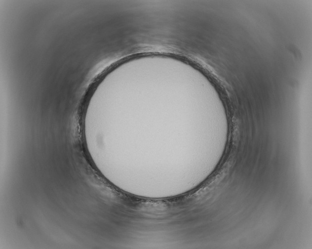 X0000111021215200907171848