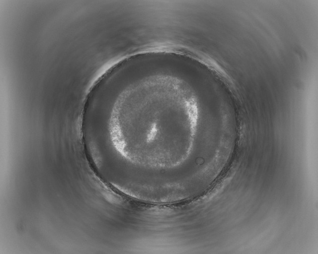 X0000111021216200907171848