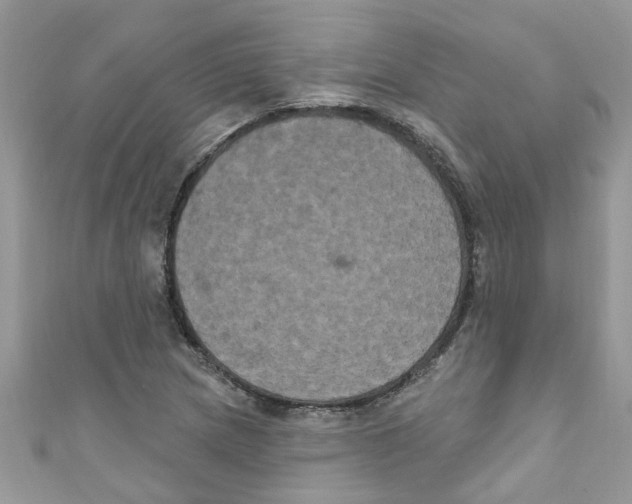 X0000111021217200907171848