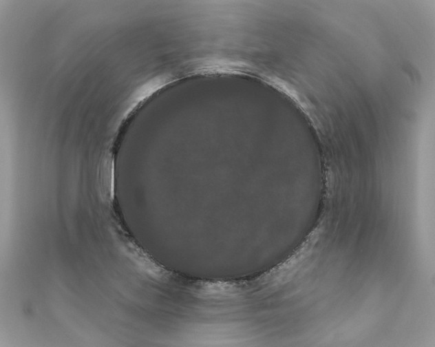 X0000111021219200907171848