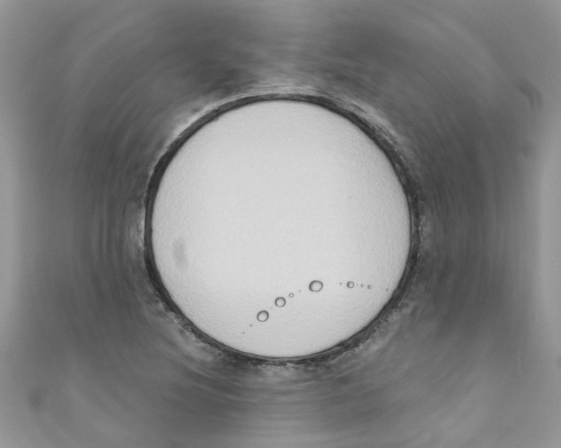 X0000111021220200907171848