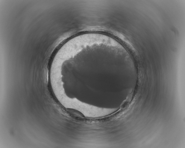 X0000111021221200907171848