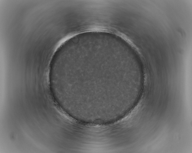 X0000111021222200907171848