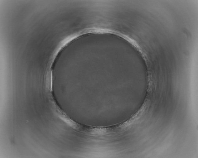X0000111021223200907171848