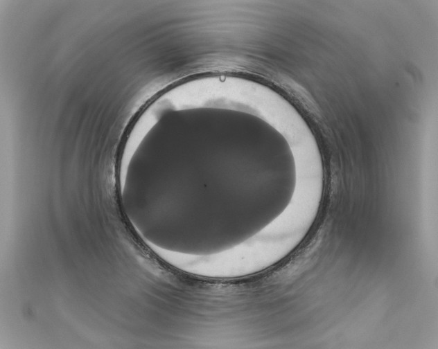 X0000111021226200907171848