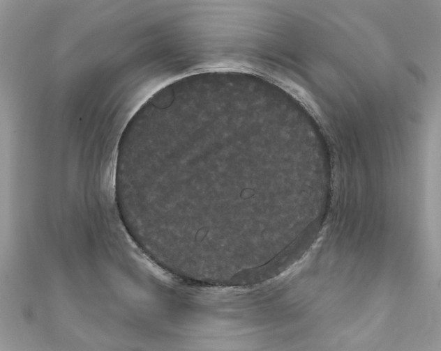 X0000111021228200907171848