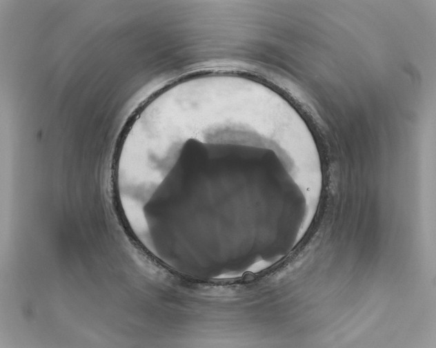 X0000111021229200907171848
