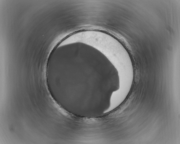 X0000111021231200907171848