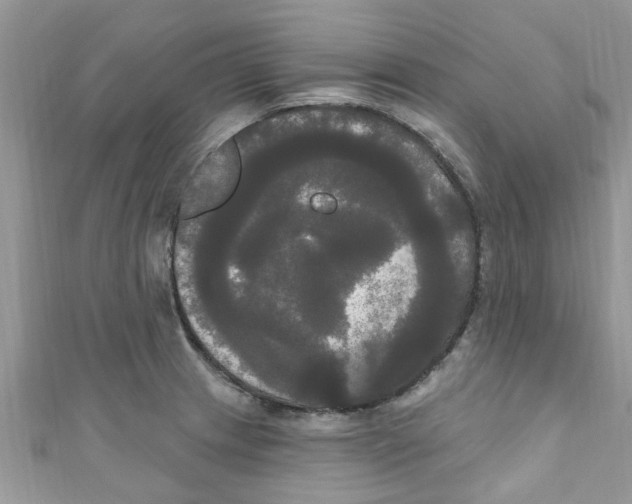 X0000111021233200907171848