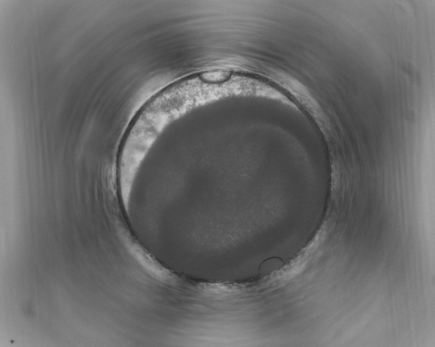 X0000111021234200907171848