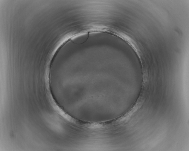 X0000111021235200907171848