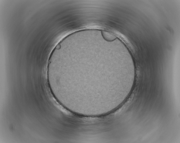 X0000111021236200907171848