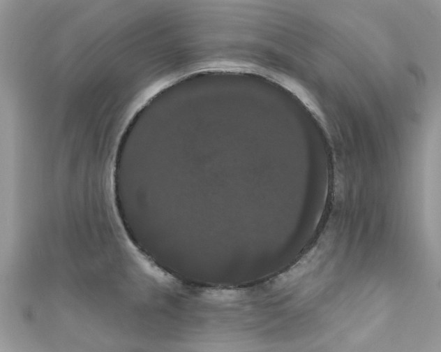 X0000111021237200907171848