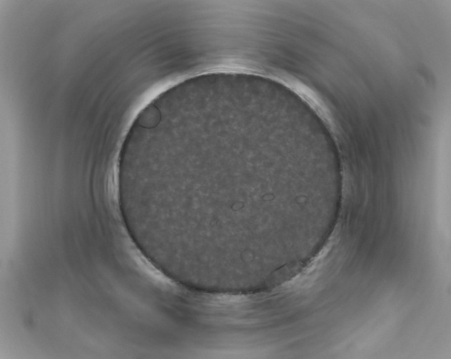 X0000111021238200907171848