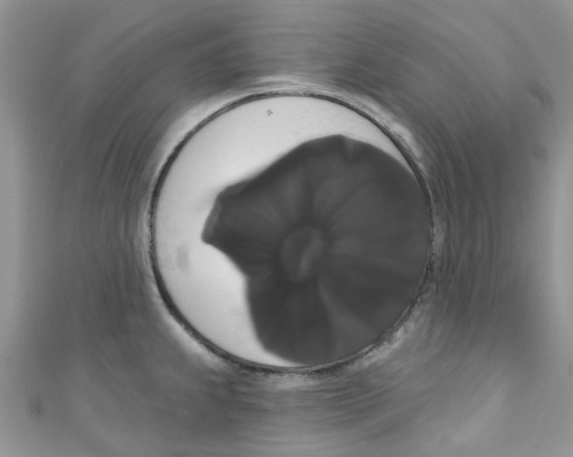 X0000111021239200907171848