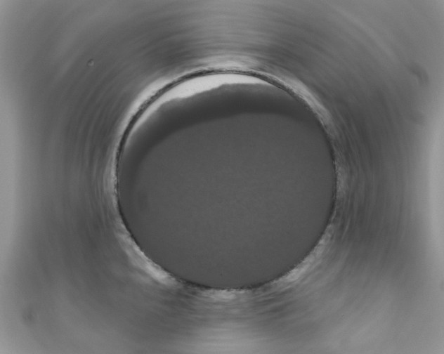 X0000111021240200907171848