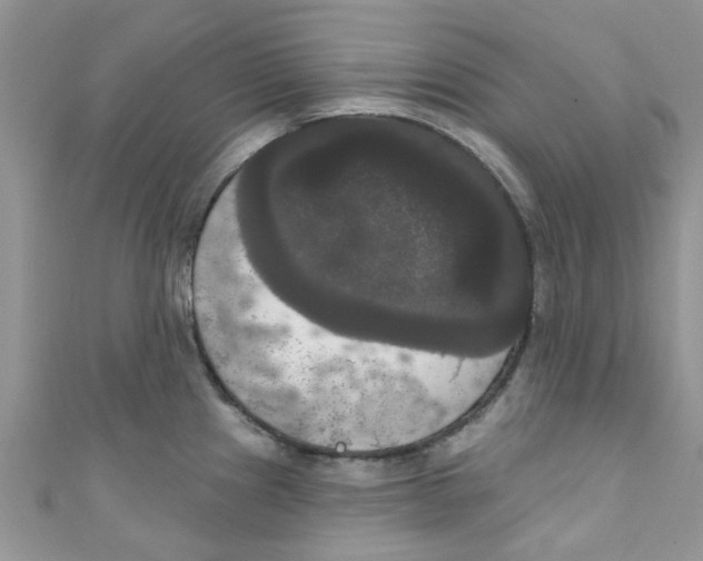 X0000111021241200907171848