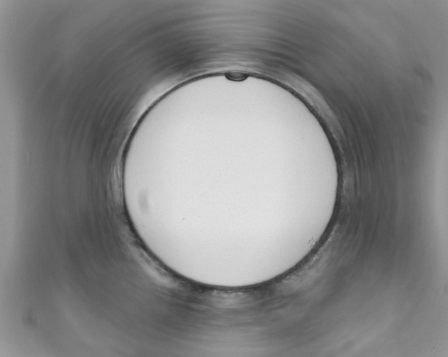X0000111021242200907171848