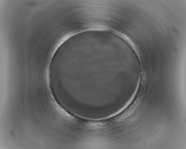 X0000111021243200907171848