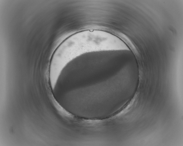 X0000111021244200907171848