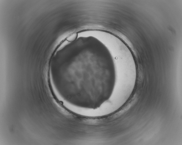 X0000111021245200907171848