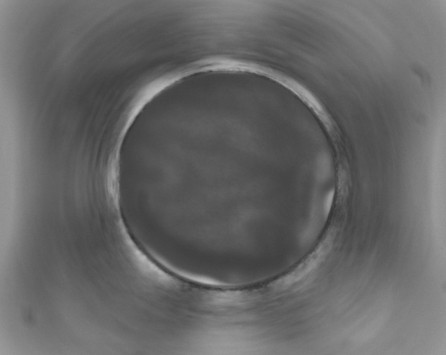 X0000111021247200907171848