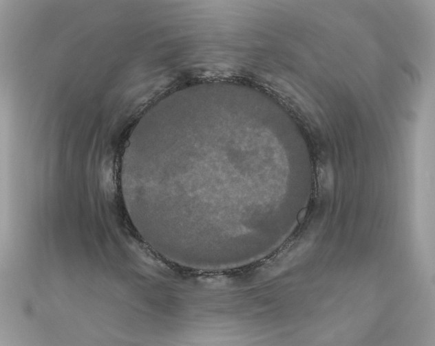 X0000111021250200907171848