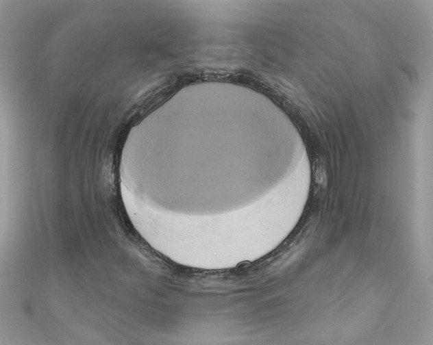 X0000111021252200907171848