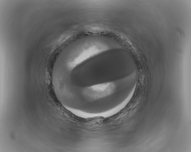 X0000111021253200907171848