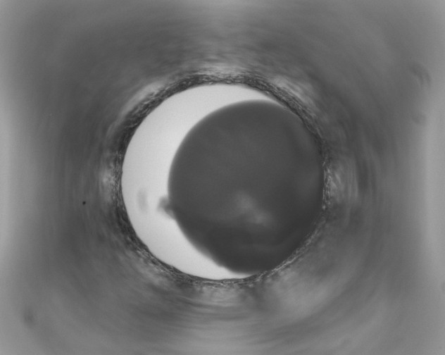 X0000111021254200907171848