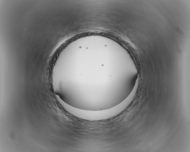 X0000111021256200907171848