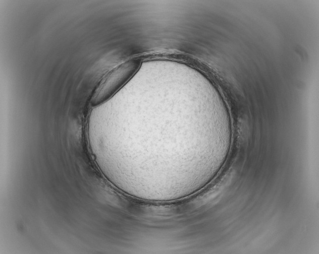 X0000111021257200907171848